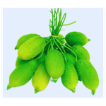 কাঁকরোল