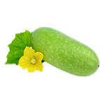 চাল কুমড়া