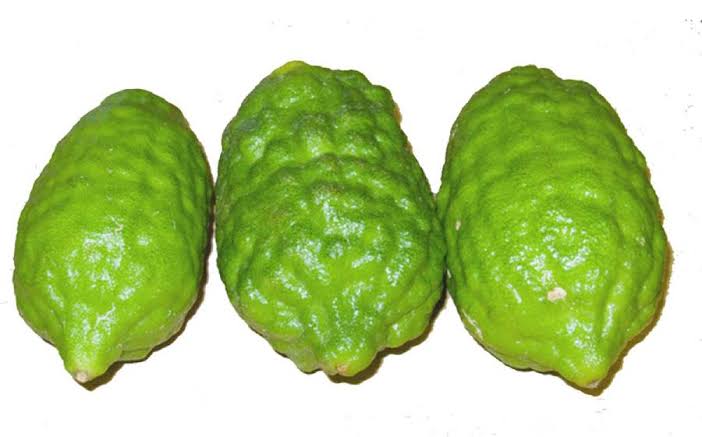 ঝাড়া লেবু (বীগ সাইজ)